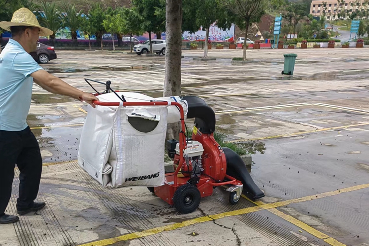 云南昆明寶來(lái)潔燃油版WBLV506H吸葉機(jī)道路草叢 公園物業(yè)小區(qū)學(xué)校市容保潔吸樹(shù)葉機(jī)